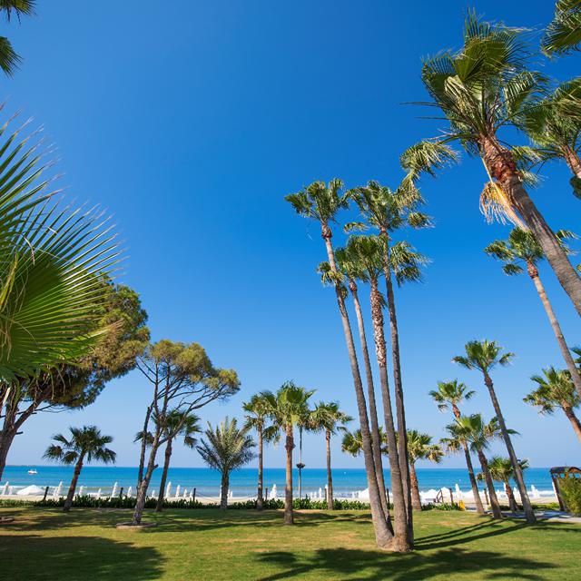 Hotel Acanthus Cennet Barut Collection - billede 4