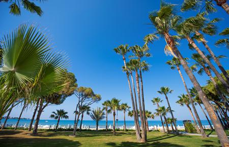 Hotel Acanthus Cennet Barut Collection slide 4