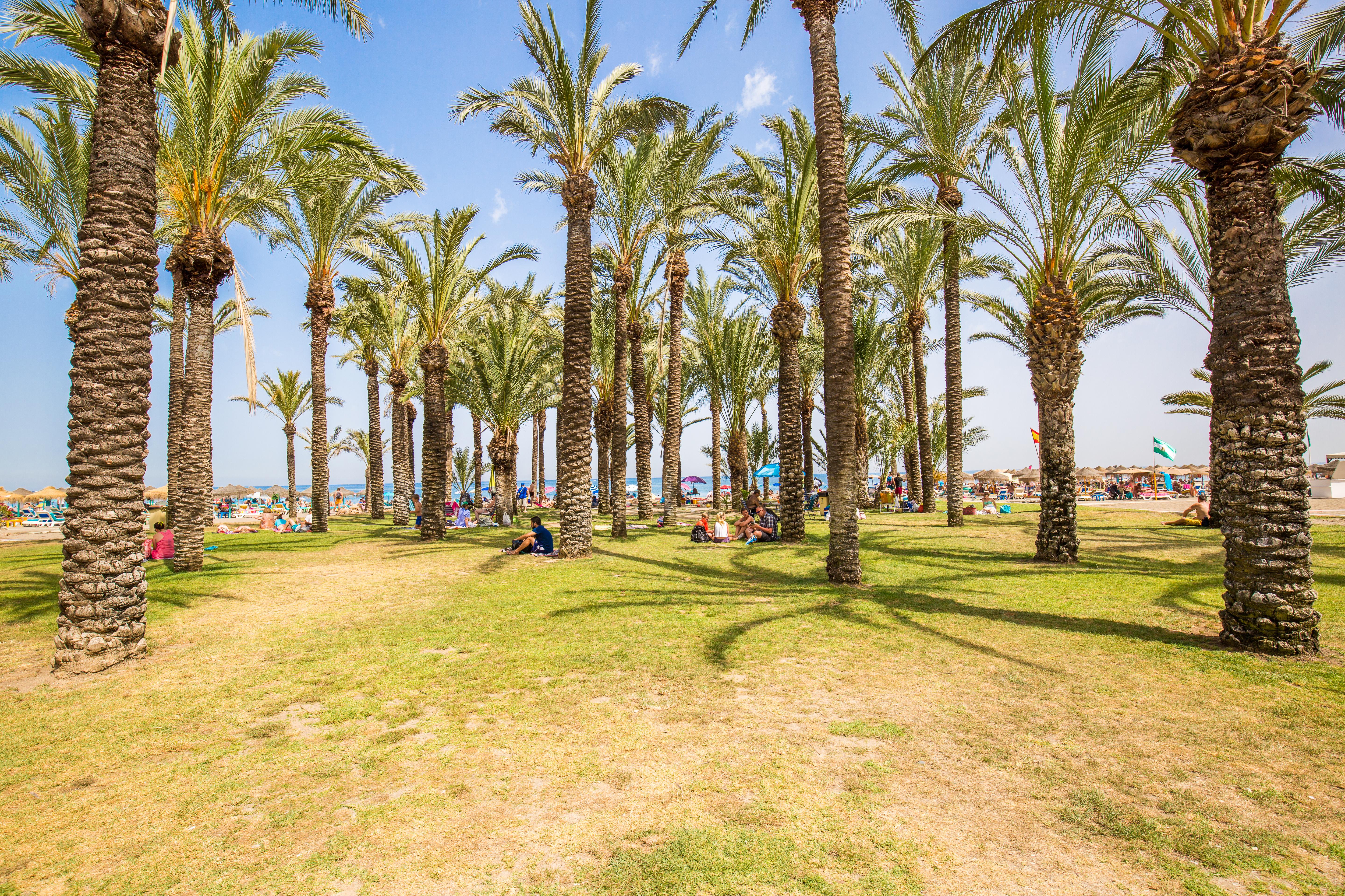 Torremolinos Foto: 11 af 25