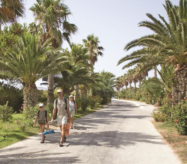 Hotel Tigaki Beach - billede 6