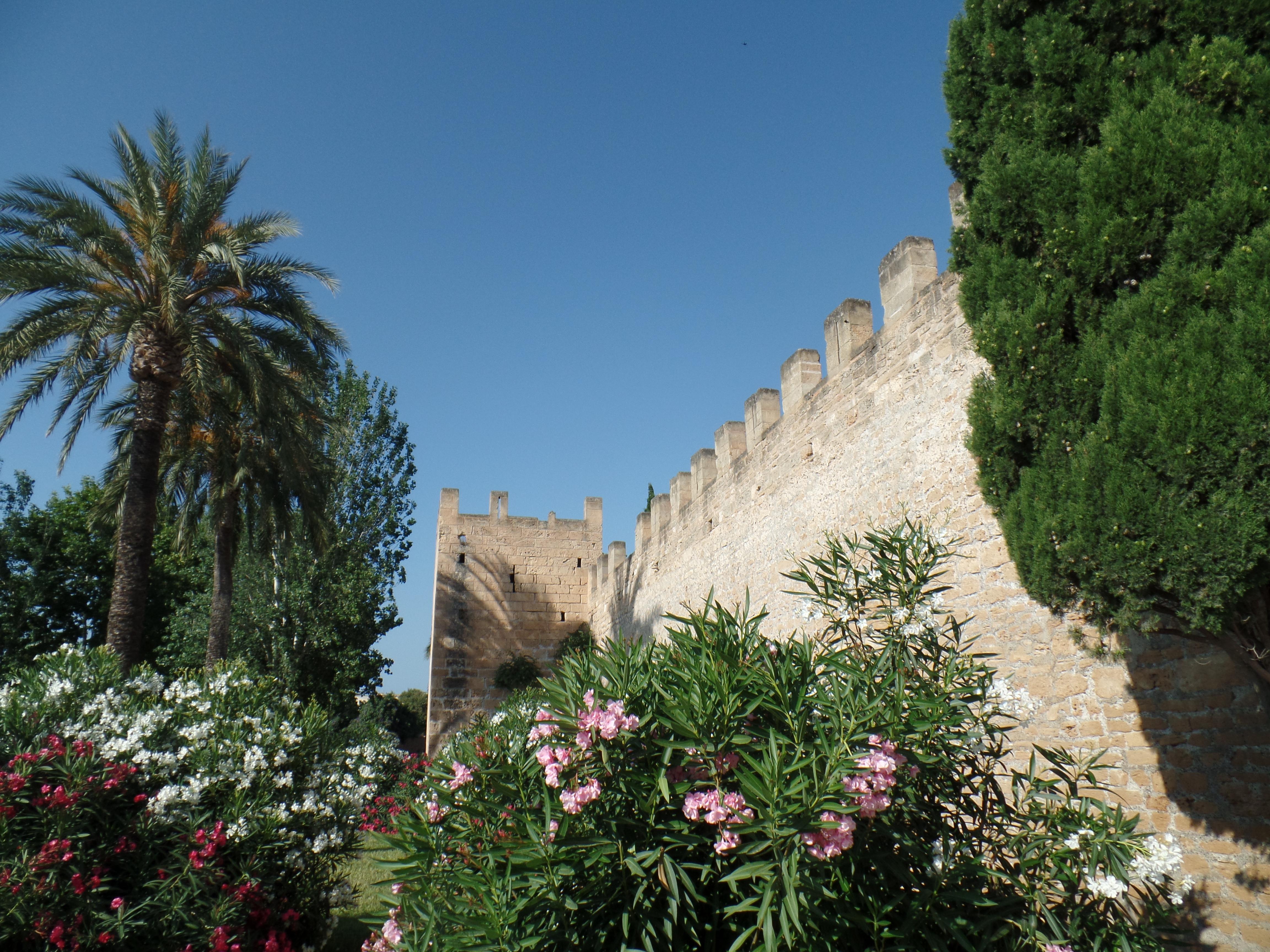 Alcudia Foto: 9 af 11