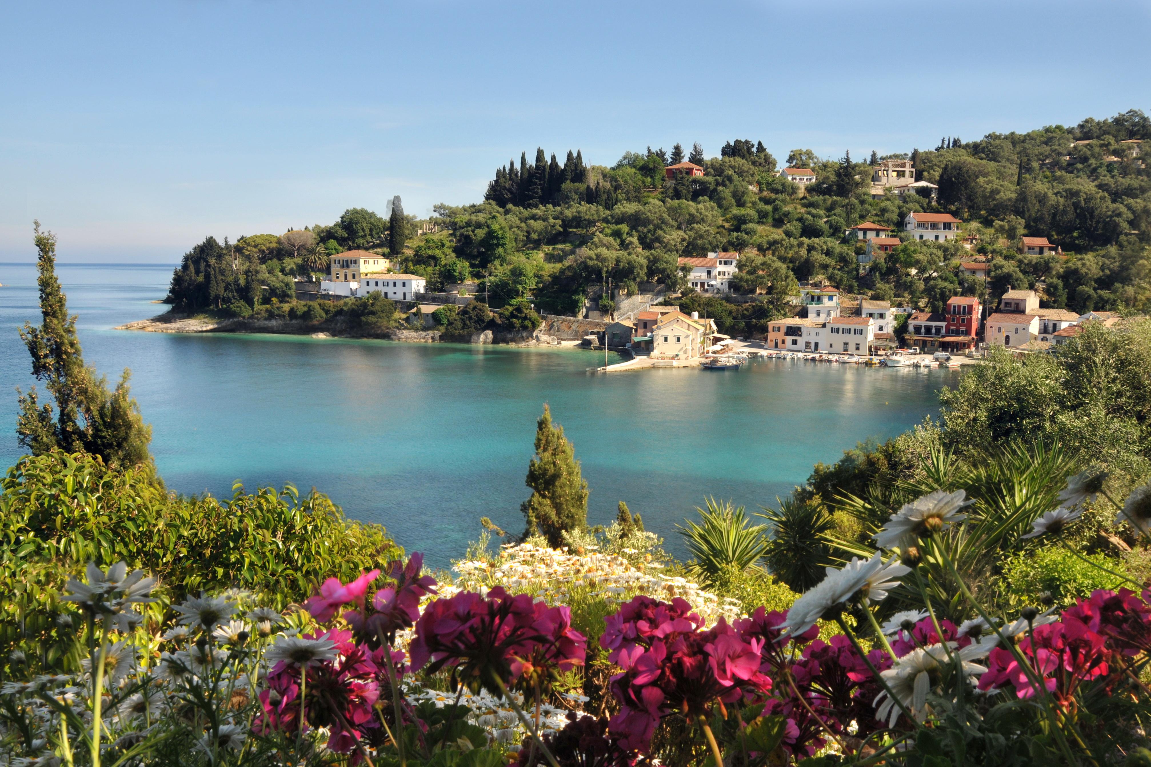 Paxos