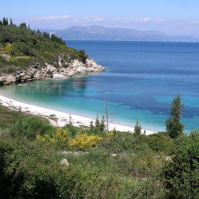 Paxos