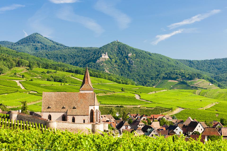 Alsace Foto: 2 af 2