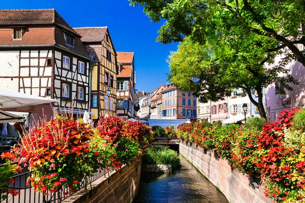 Foto af Alsace