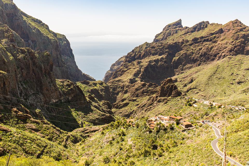 Tenerife Foto: 9 af 35