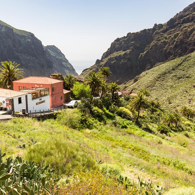 Tenerife – billede 3