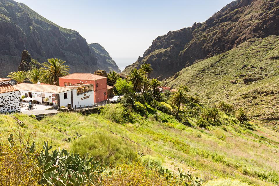 Tenerife Foto: 3 af 35