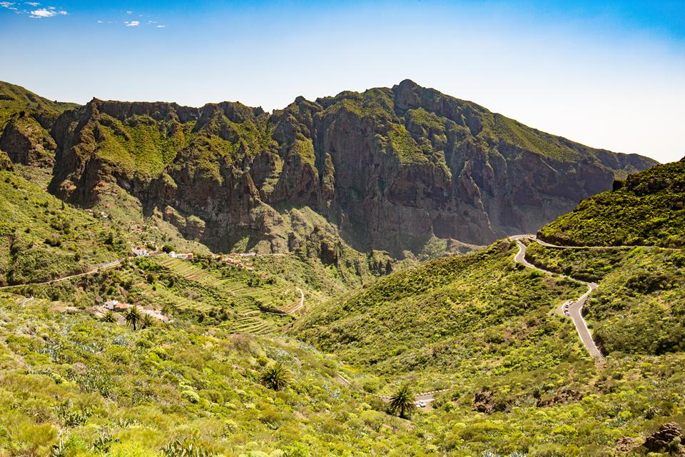 Tenerife Foto: 33 af 35
