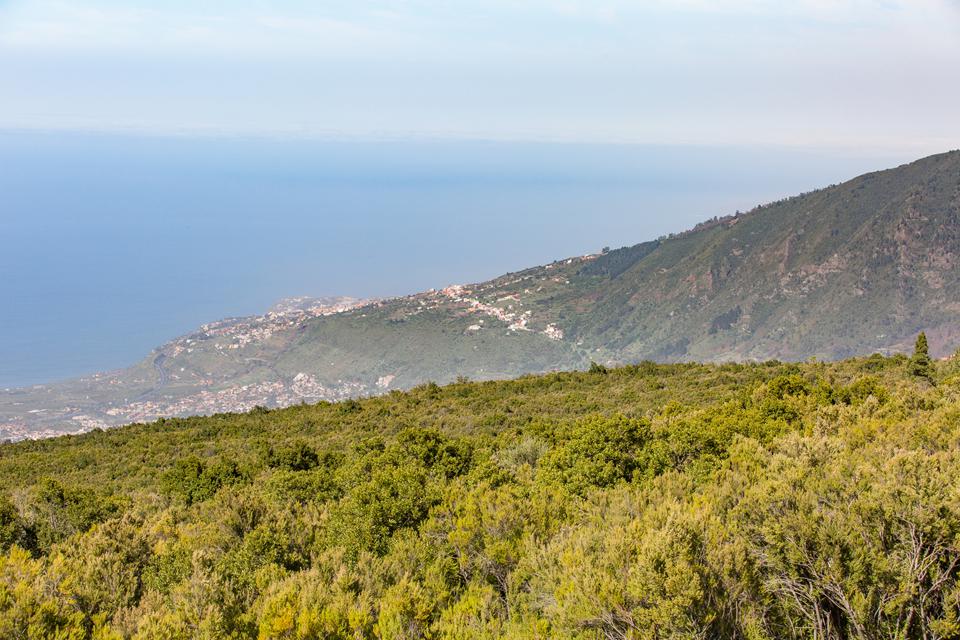 Tenerife Foto: 35 af 35