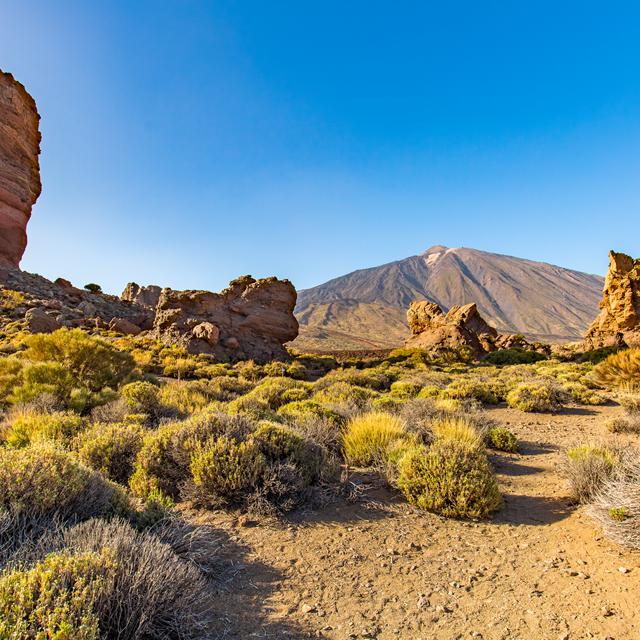 Tenerife – billede 2