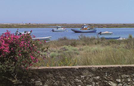 Golden Club Lejligheder slide 5