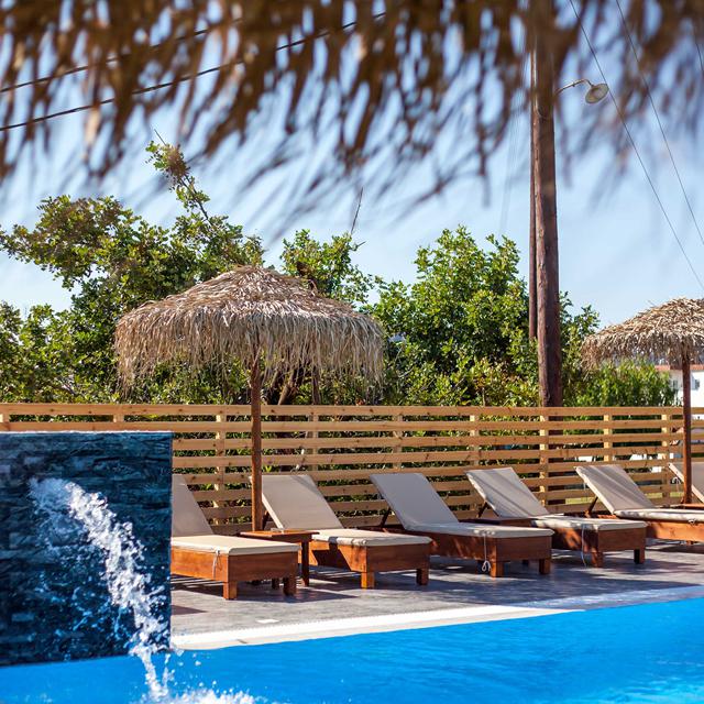 Hotel Essential Summer - voksenhotel - billede 2