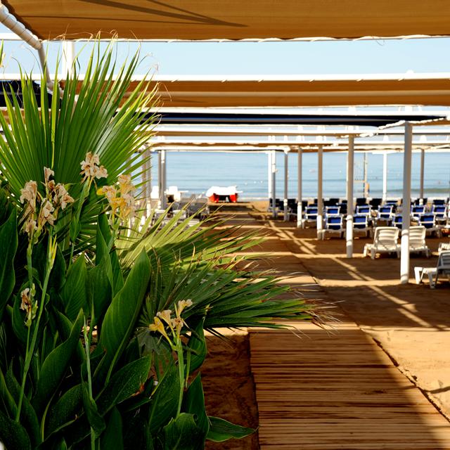 Billede av hotellet Hotel Dream World Hill - nummer 10 af 25