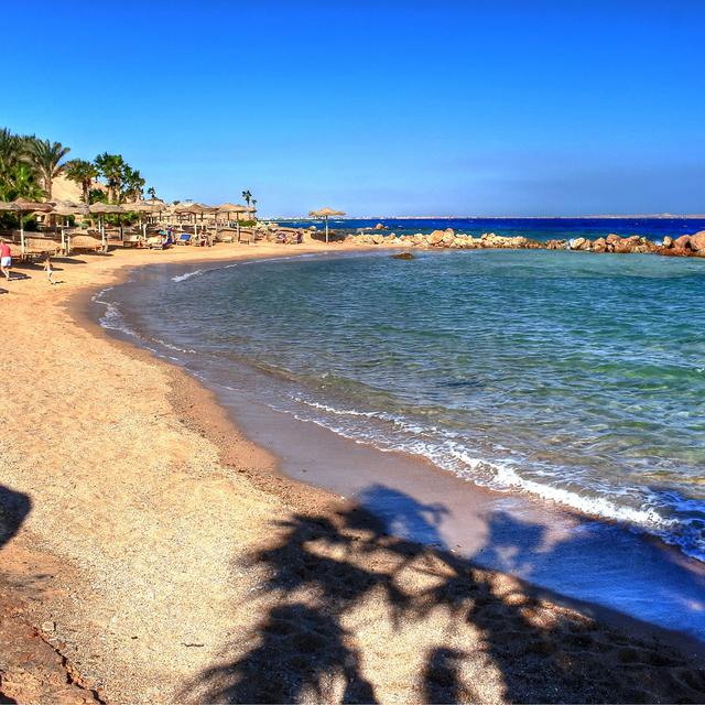 Hotel Pickalbatros Citadel Sahl Hasheesh - billede 5