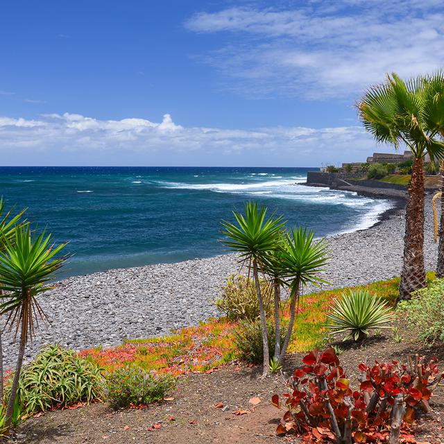 Rejser til La Caleta