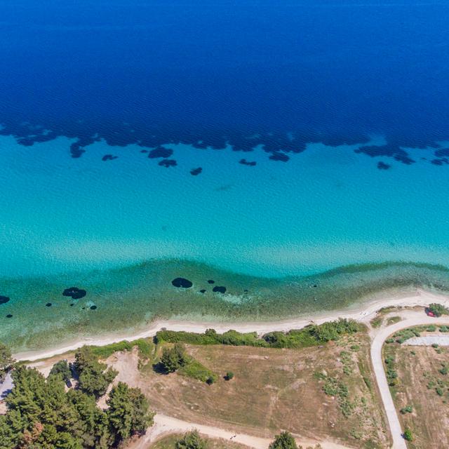 Billede av hotellet Aparthotel Alkion - nummer 14 af 22