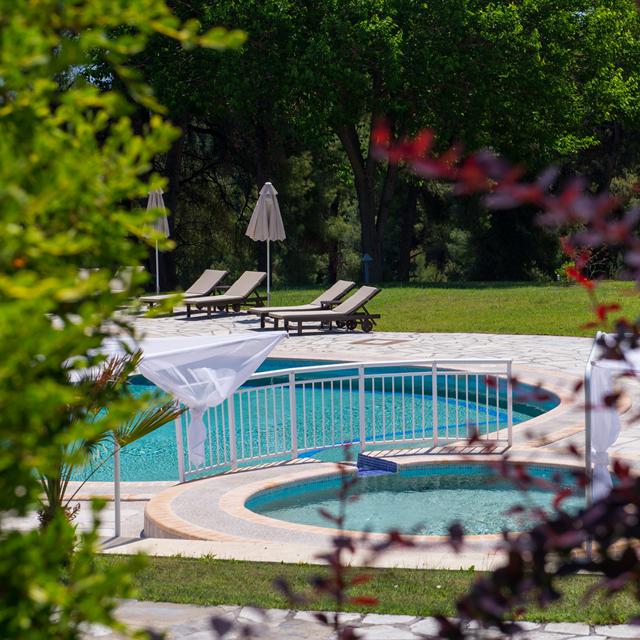 Billede av hotellet Aparthotel Alkion - nummer 12 af 22