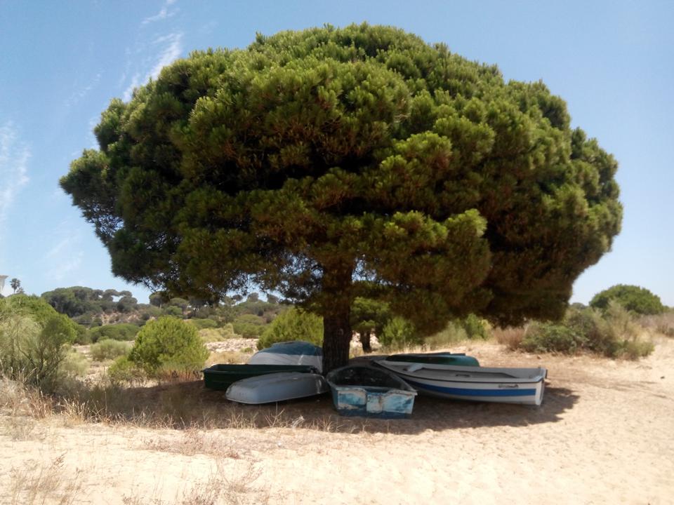 Costa de la Luz Foto: 10 af 11