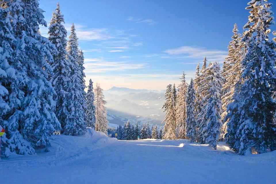 Schladming-Dachstein - Ski Amadé Foto: 2 af 4