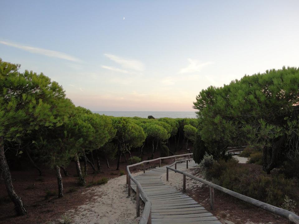 Punta Umbría Foto: 2 af 6