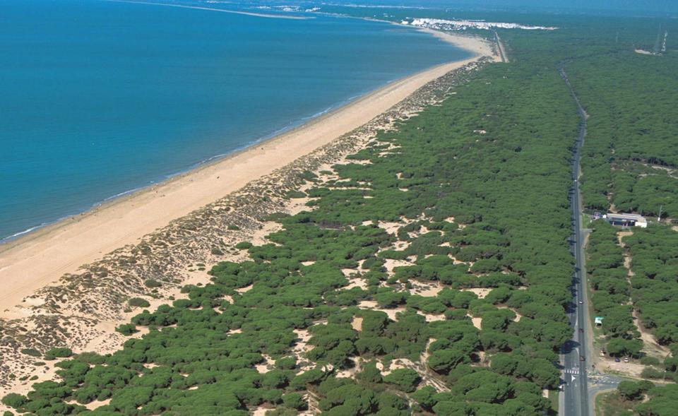 Punta Umbría Foto: 6 af 6