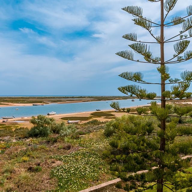 Billede av hotellet Golden Club Lejligheder - nummer 12 af 17