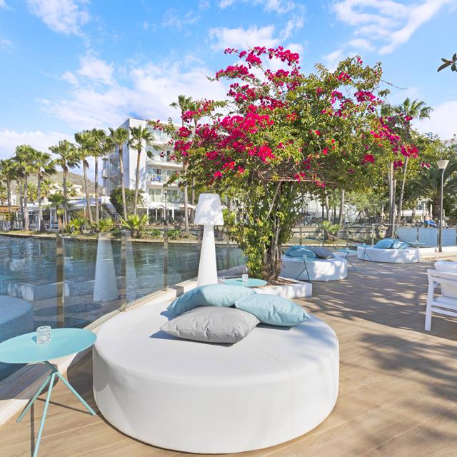 Alua Boccaccio - billede 3