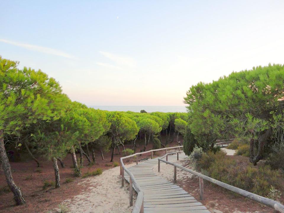 Costa de la Luz Foto: 11 af 11