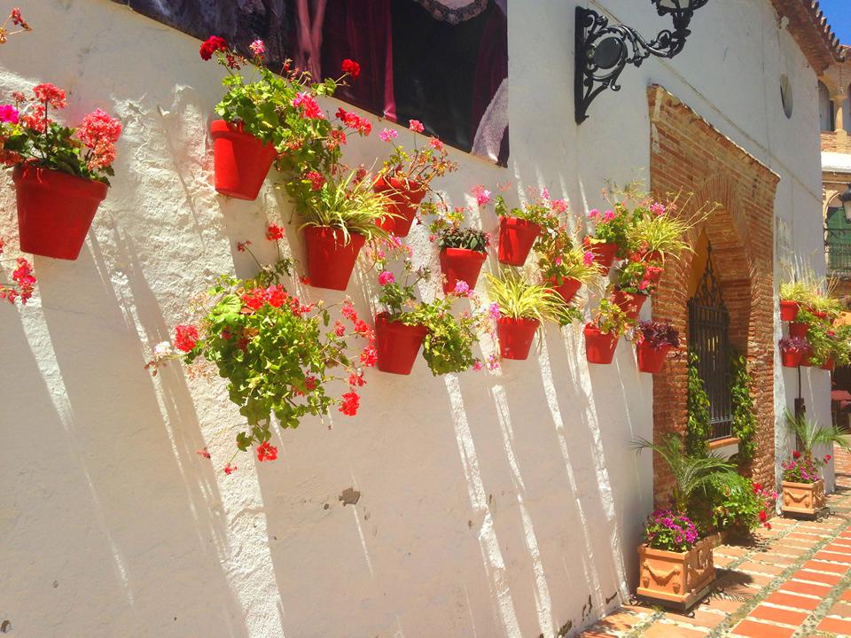 Marbella Foto: 1 af 6