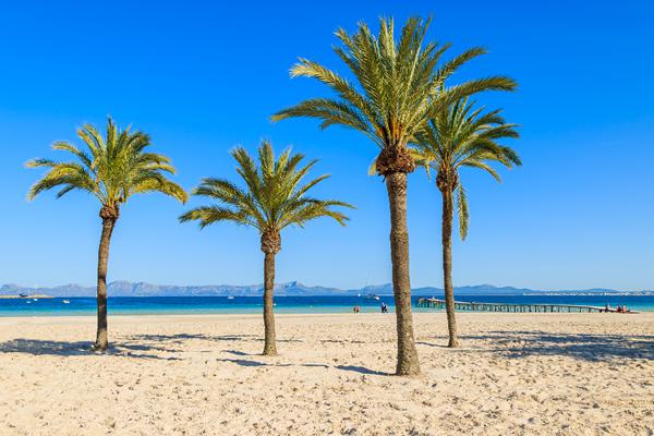 Foto af Alcudia