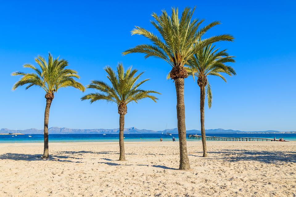 Alcudia Foto: 1 af 11