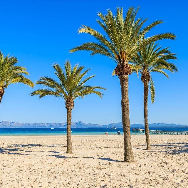 Rejser til Alcudia
