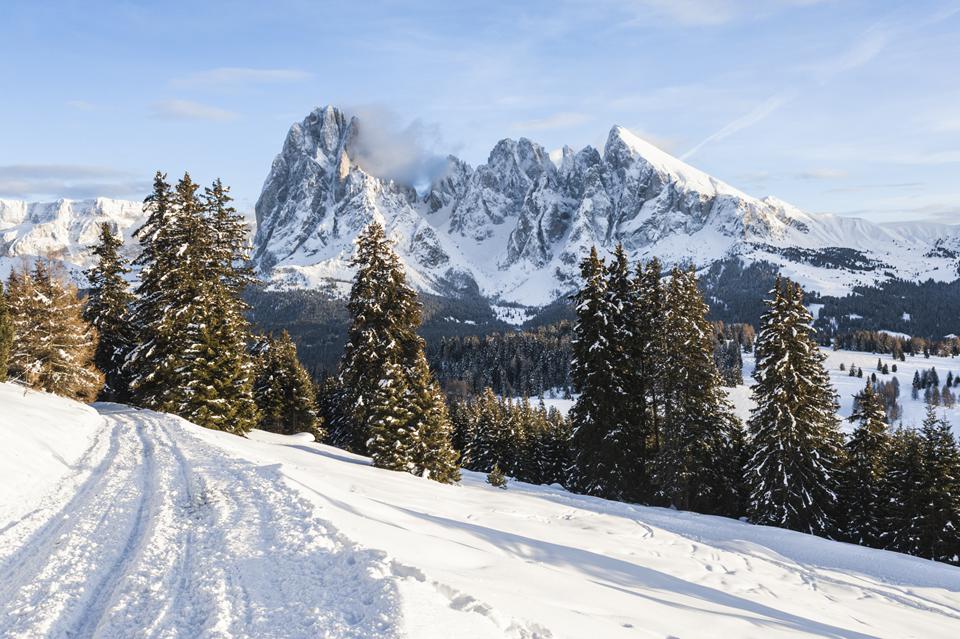 Seiser Alm Foto: 2 af 2