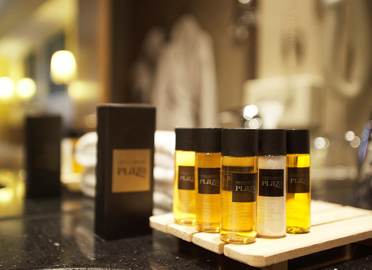 Hotel Ski Plaza slide 5