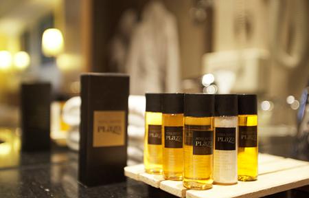 Hotel Ski Plaza slide 5