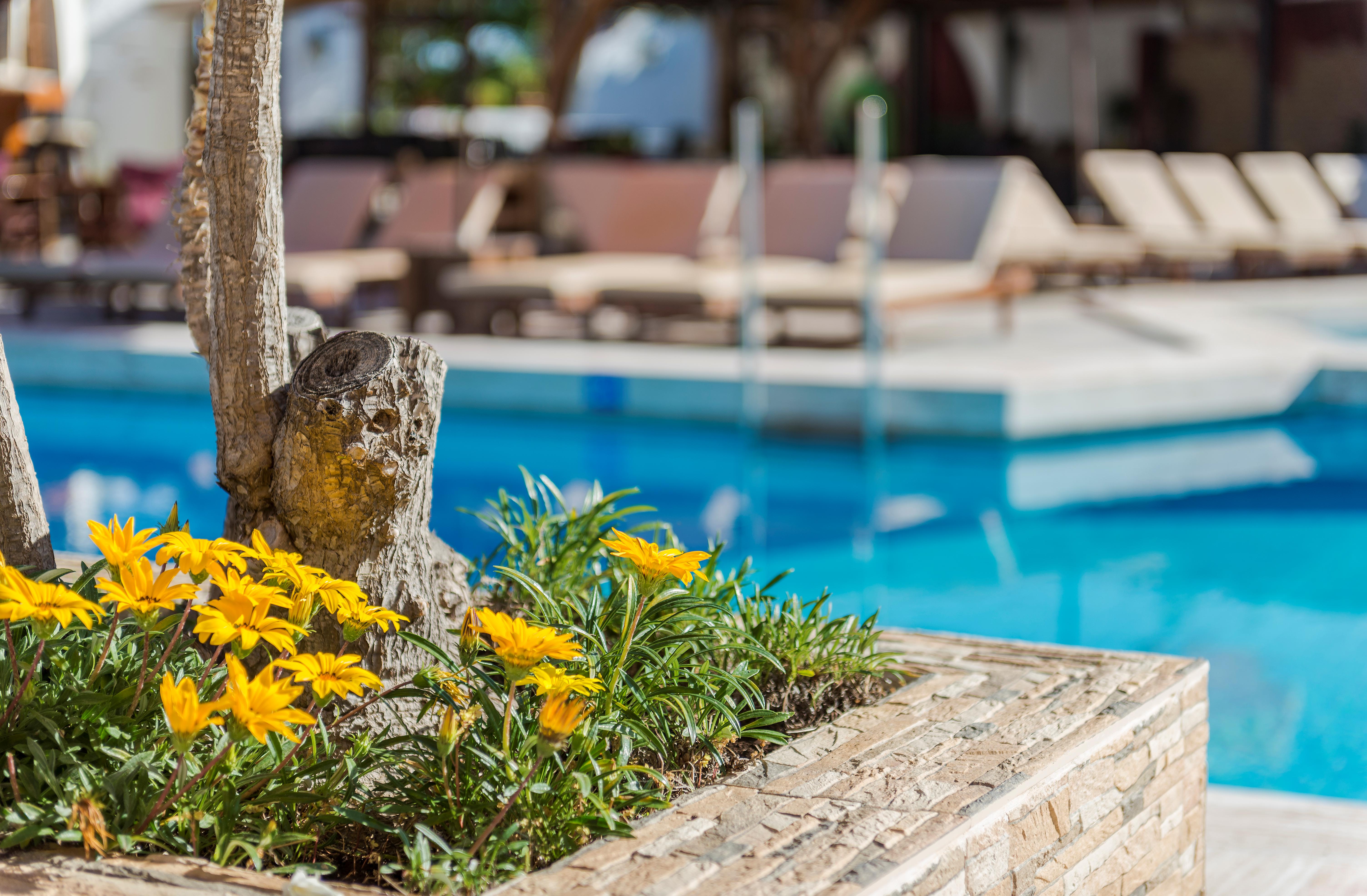 Hotel Gaia Garden slide 3