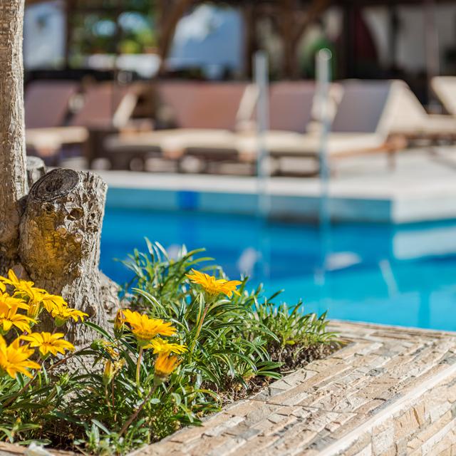 Hotel Gaia Garden - billede 3