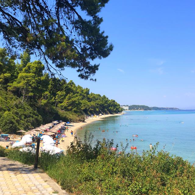 Billede av hotellet Aparthotel Alkion - nummer 9 af 22