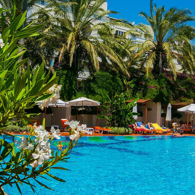 Hotel Elegance - billede 2