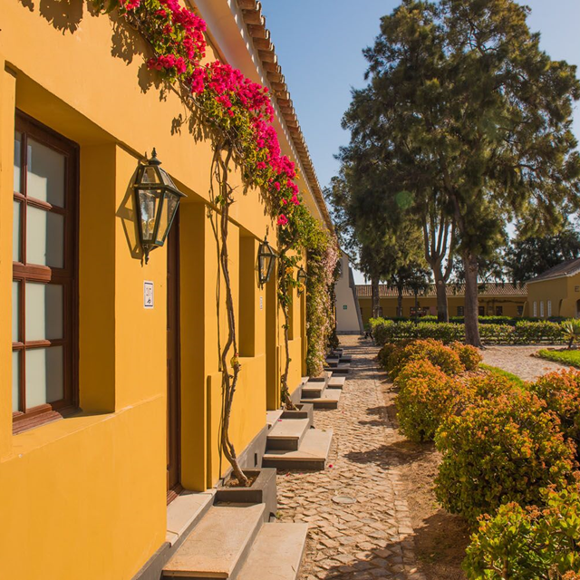 Eco Hotel Vila Gale Albacora - billede 4