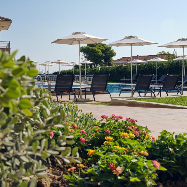 Lejligheder Zoi - billede 3