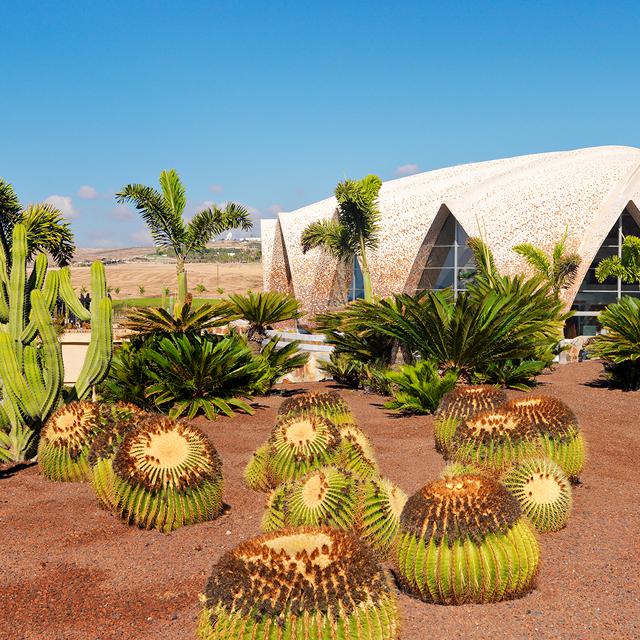 Hotel H10 Playa Meloneras Horizons Collection - billede 3