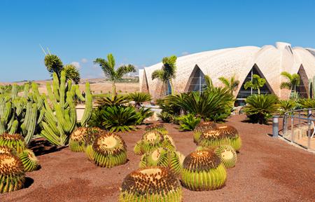 Hotel H10 Playa Meloneras Horizons Collection slide 3