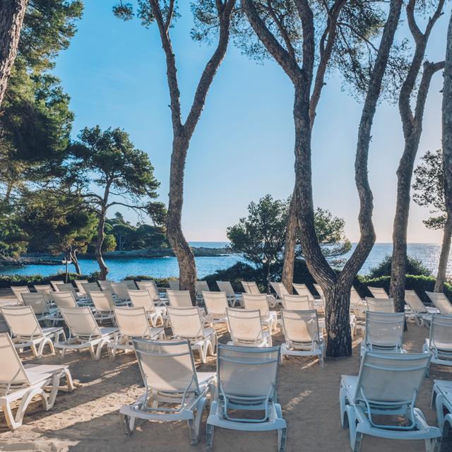 Iberostar Waves Pinos Park - billede 2