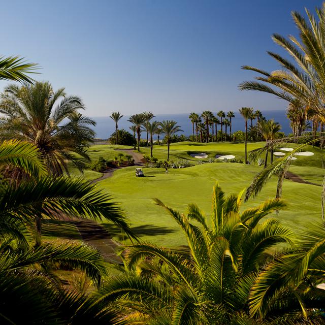 Hotel Dreams Jardin Tropical - billede 4