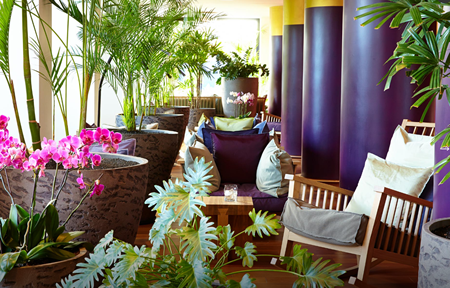 Hotel Bohemia Suites & Spa - Voksenhotel slide 4