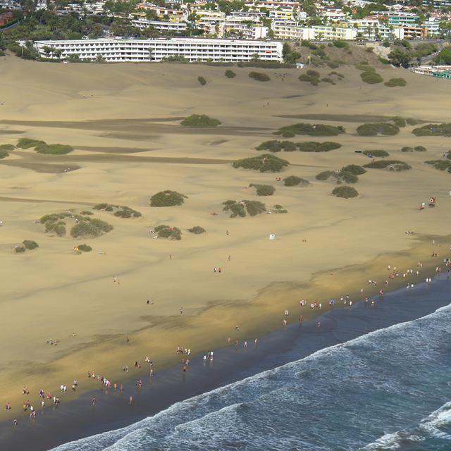 Hotel Santa Monica Suites - billede 5