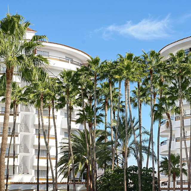 Hotel Servatur Waikiki - billede 3