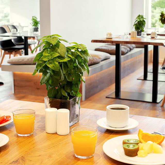 Hotel Cyprotel Faliraki - billede 5